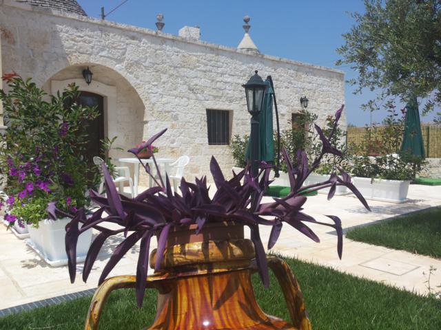 Dimora Matarrese B&B Trulli Alberobello Zewnętrze zdjęcie